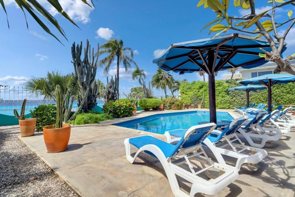 Bonaire Oceanfront Apartments Kralendijk  Luaran gambar